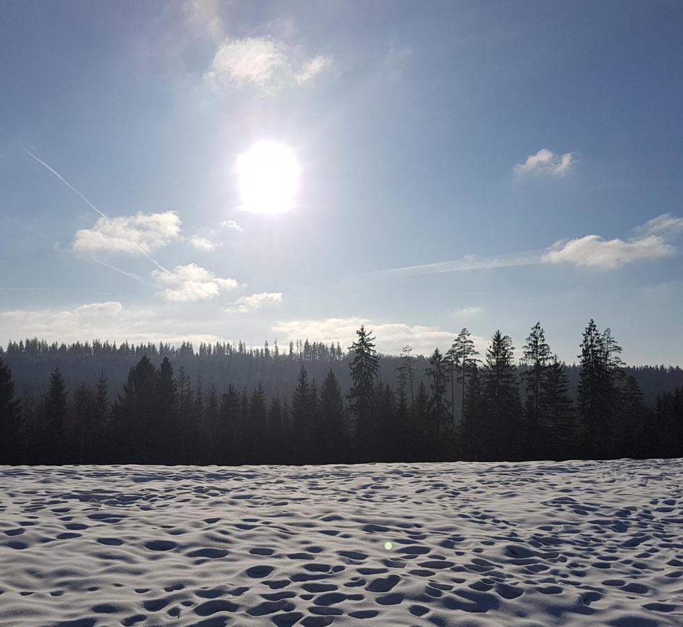 Koniakowo - Dom Pinto Villa Bagian luar foto