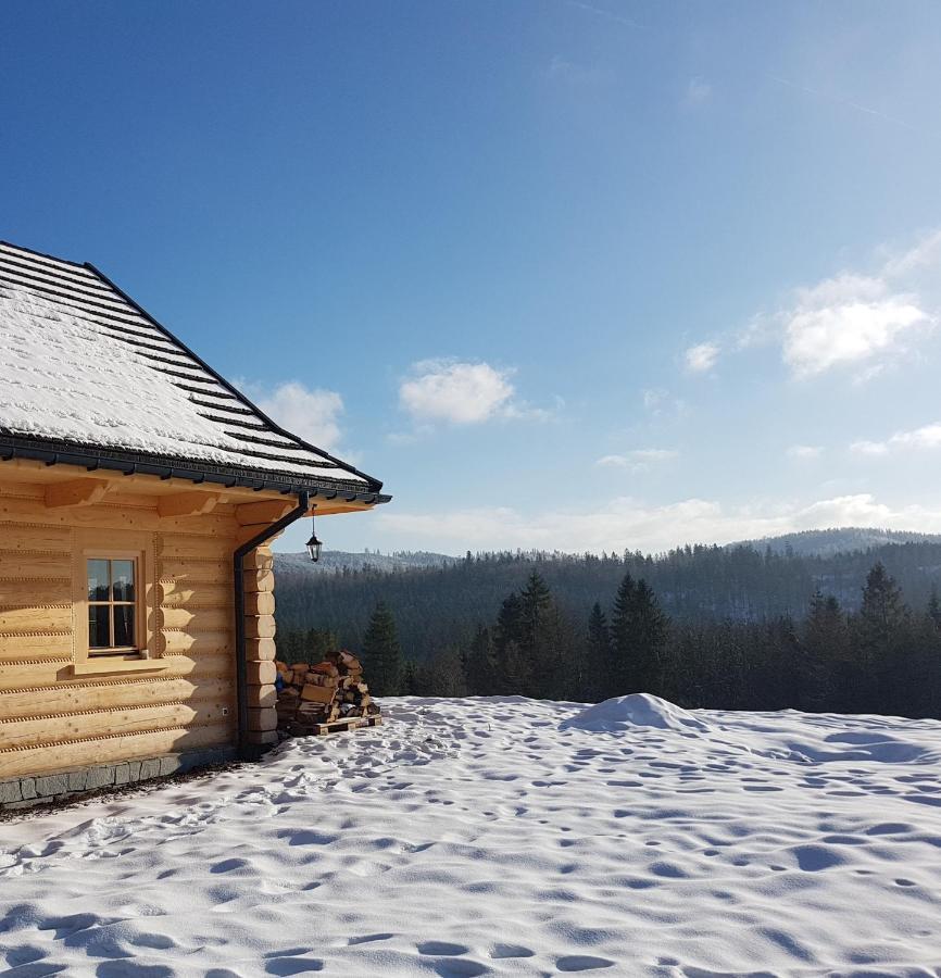 Koniakowo - Dom Pinto Villa Bagian luar foto